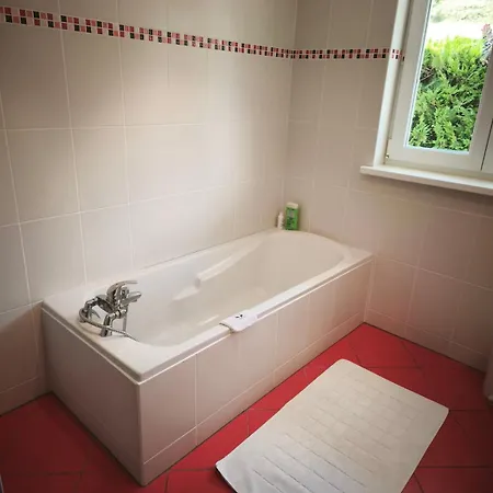 Les Leonides, A Nature House Ferienhaus Walscheid