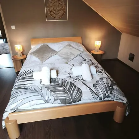 Les Leonides, A Nature House Ferienhaus Walscheid