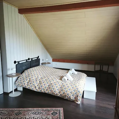 Les Leonides, A Nature House Ferienhaus
